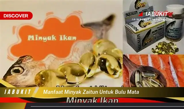 manfaat minyak zaitun untuk bulu mata