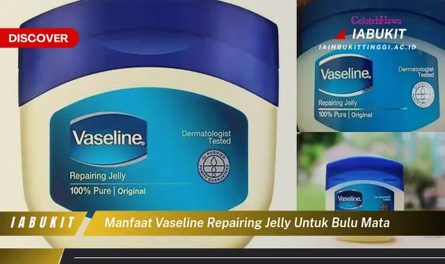 Temukan 5 Manfaat Vaseline Repairing Jelly untuk Bulu Mata yang Bikin Kamu Penasaran