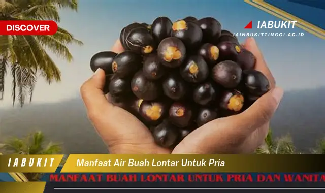 manfaat air buah lontar untuk pria manfaat air buah lontar untuk pria