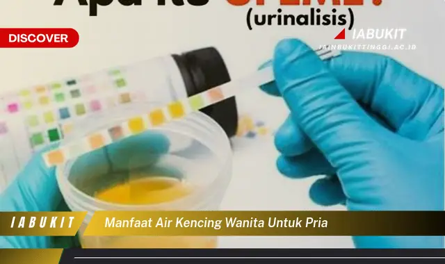 manfaat air kencing wanita untuk pria