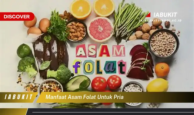 manfaat asam folat untuk pria