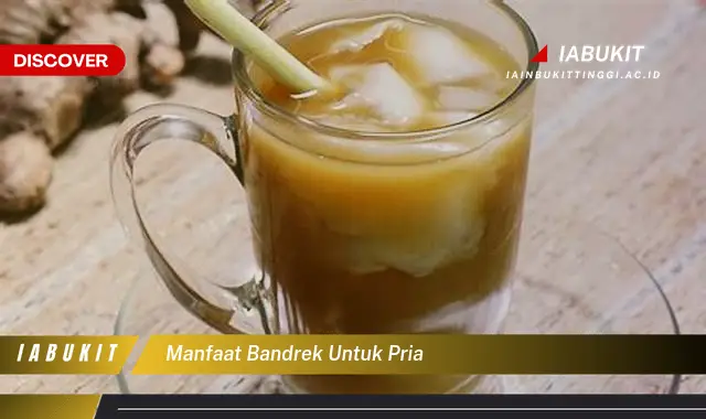 manfaat bandrek untuk pria