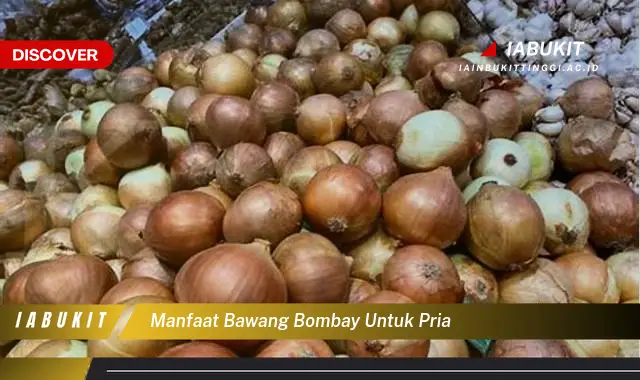 manfaat bawang bombay untuk pria