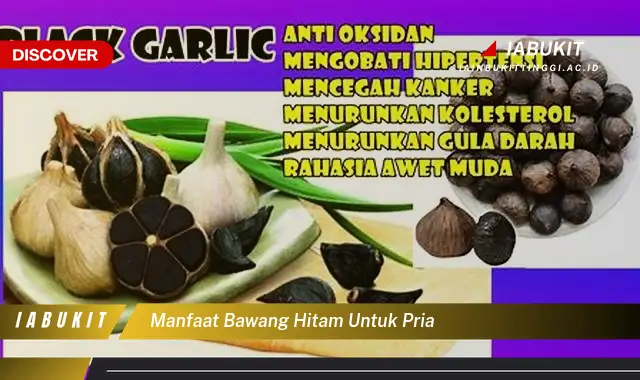 manfaat bawang hitam untuk pria manfaat bawang hitam untuk pria