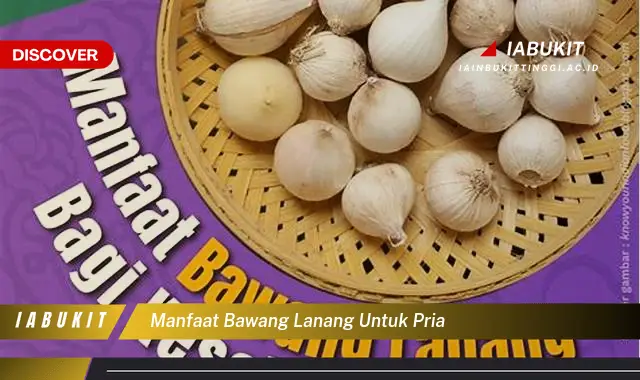 manfaat bawang lanang untuk pria