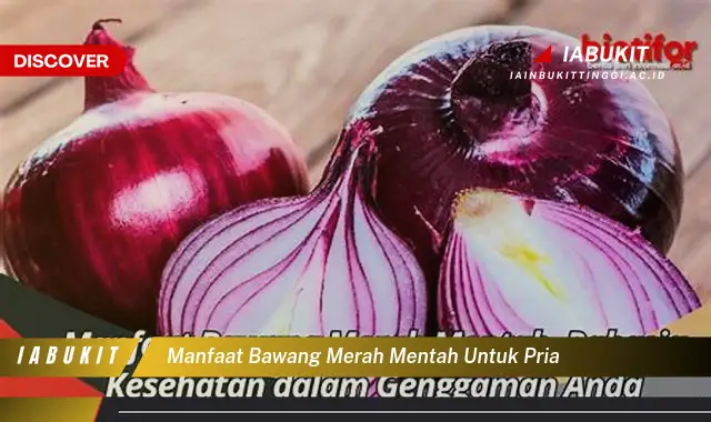 manfaat bawang merah mentah untuk pria