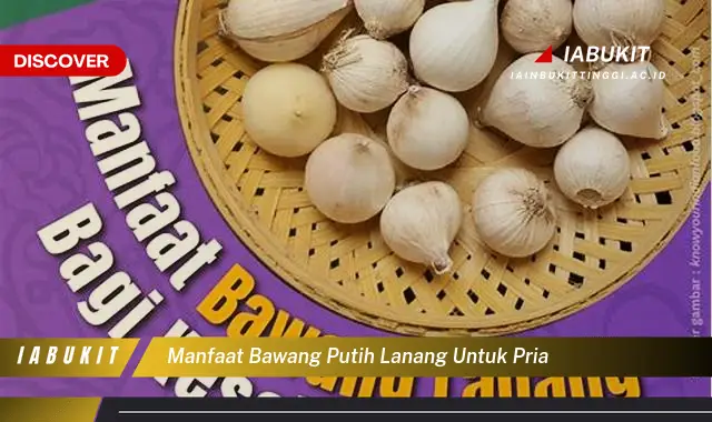 manfaat bawang putih lanang untuk pria