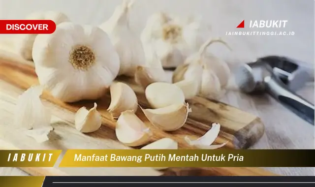 manfaat bawang putih mentah untuk pria