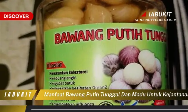 manfaat bawang putih tunggal dan madu untuk kejantanan pria