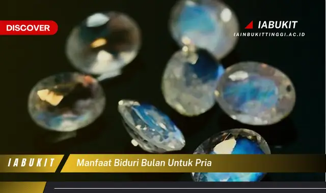 manfaat biduri bulan untuk pria