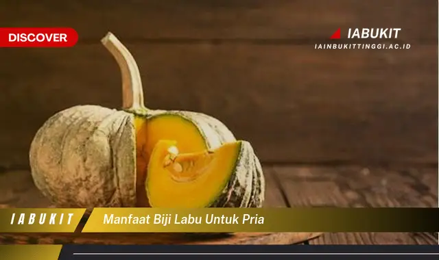 manfaat biji labu untuk pria