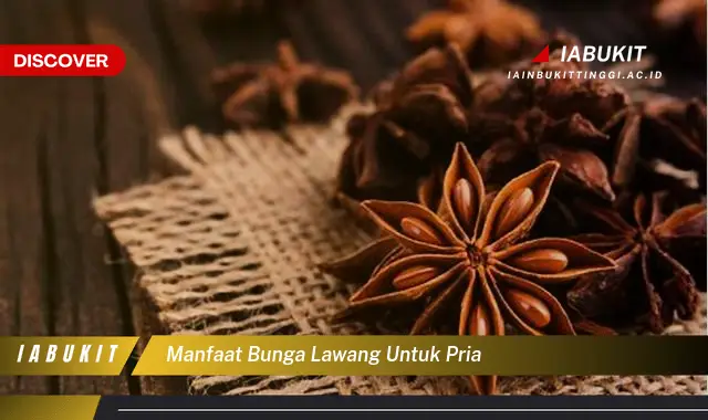 manfaat bunga lawang untuk pria