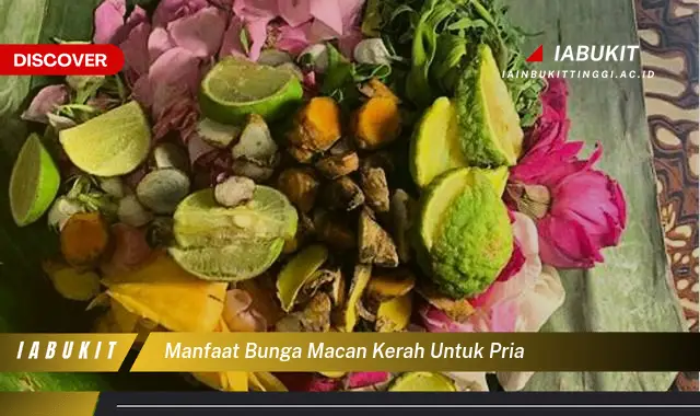 manfaat bunga macan kerah untuk pria