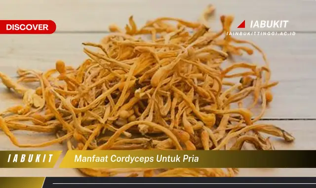 manfaat cordyceps untuk pria