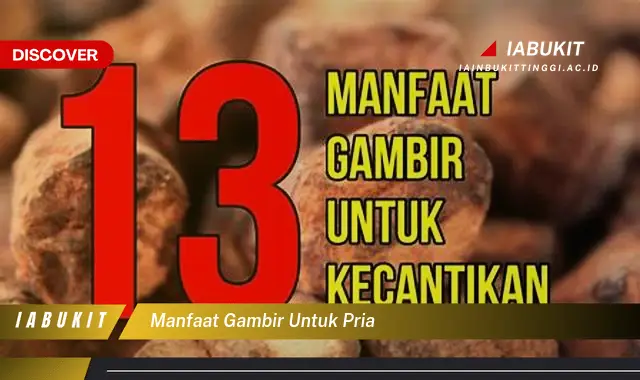 manfaat gambir untuk pria