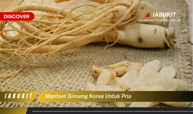 Temukan 7 Manfaat Ginseng Korea Untuk Pria Bikin Kamu Penasaran