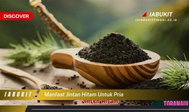 manfaat jintan hitam untuk pria
