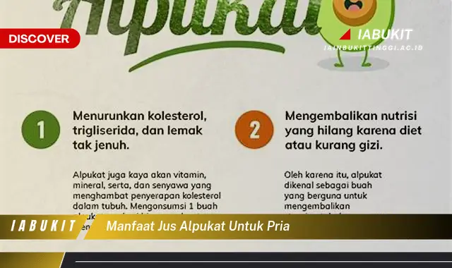 manfaat jus alpukat untuk pria