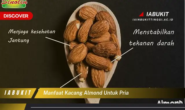 manfaat kacang almond untuk pria