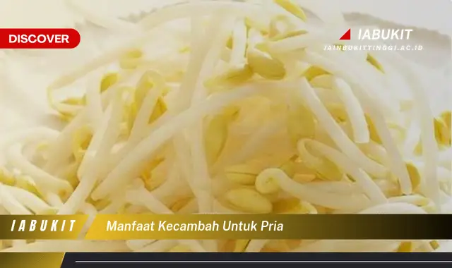 manfaat kecambah untuk pria