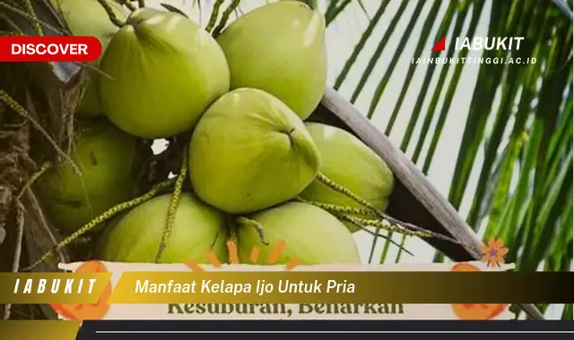 manfaat kelapa ijo untuk pria