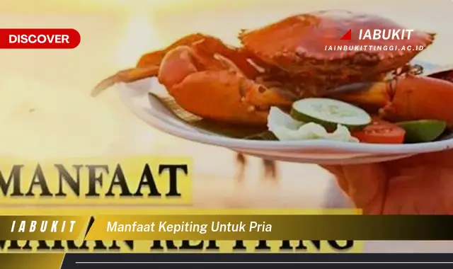 Intip 7 Manfaat Kepiting Untuk Pria Yang Bikin Kamu Penasaran Discover