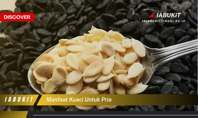 manfaat kuaci untuk pria