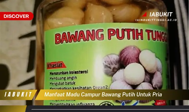 manfaat madu campur bawang putih untuk pria