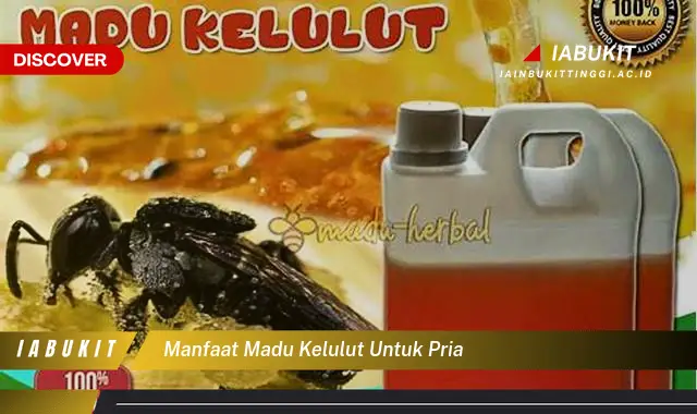 manfaat madu kelulut untuk pria