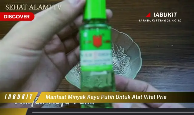 manfaat minyak kayu putih untuk alat vital pria