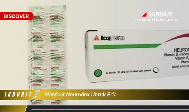 manfaat neurodex untuk pria manfaat neurodex untuk pria