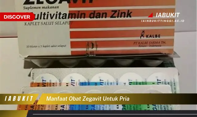 manfaat obat zegavit untuk pria