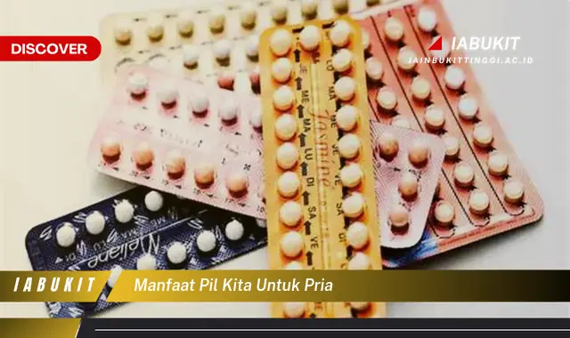 manfaat pil kita untuk pria