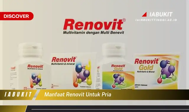 manfaat renovit untuk pria