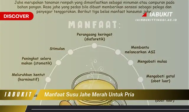 manfaat susu jahe merah untuk pria