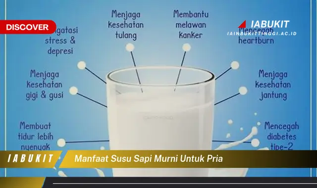 manfaat susu sapi murni untuk pria