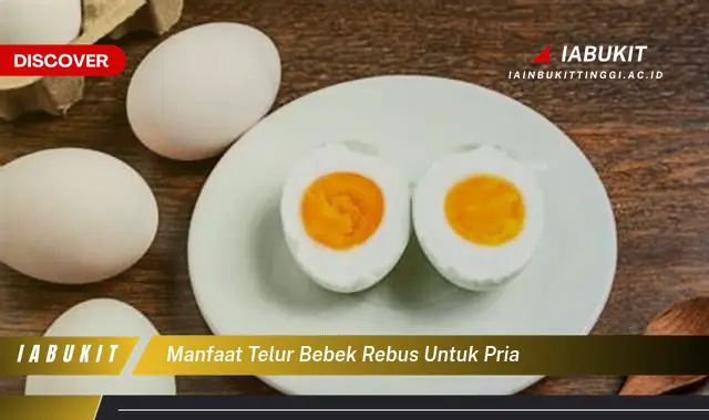 manfaat telur bebek rebus untuk pria