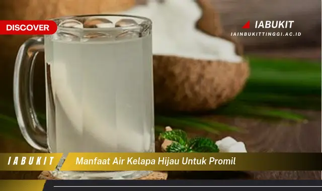 manfaat air kelapa hijau untuk promil