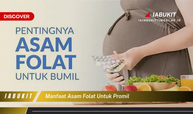 manfaat asam folat untuk promil