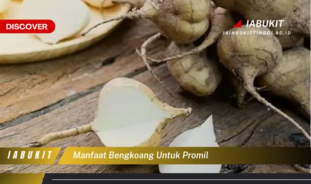 manfaat bengkoang untuk promil