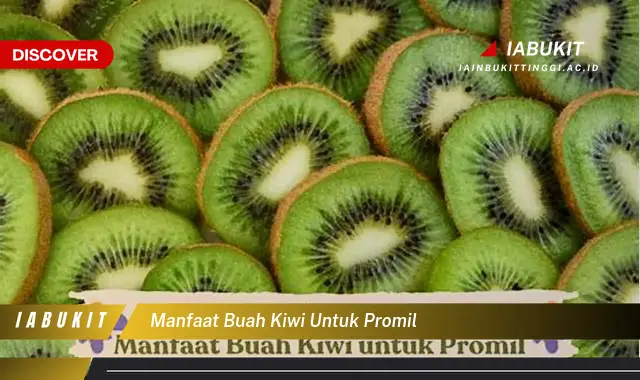 Intip 7 Manfaat Buah Kiwi Untuk Promil Yang Bikin Kamu Penasaran Discover