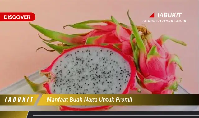 manfaat buah naga untuk promil