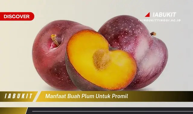 manfaat buah plum untuk promil