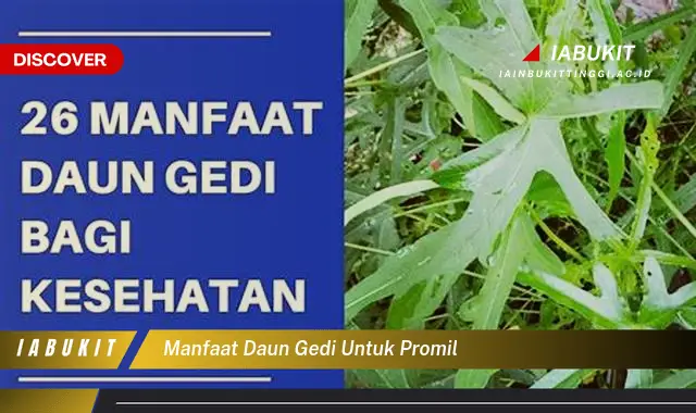 Temukan 7 Manfaat Daun Gedi untuk Promil yang Jarang Diketahui