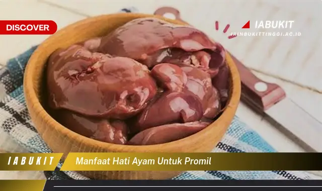 Manfaat Hati Ayam untuk Promil, Bikin Penasaran!