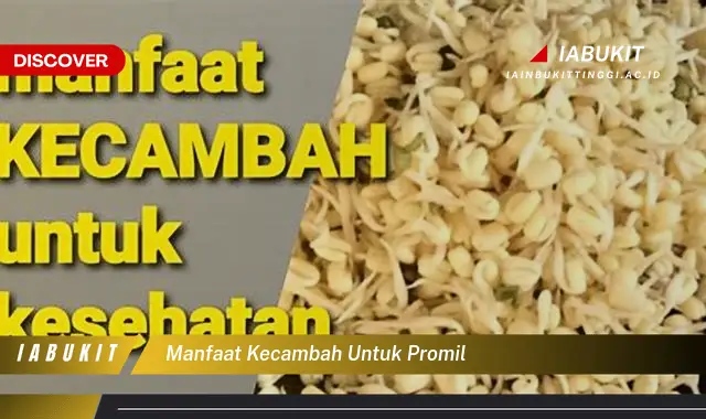 manfaat kecambah untuk promil