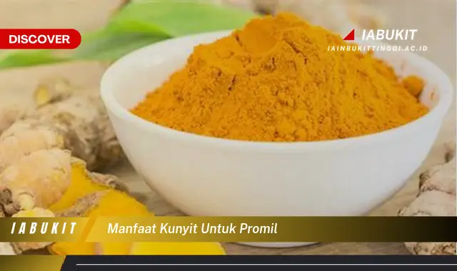 manfaat kunyit untuk promil