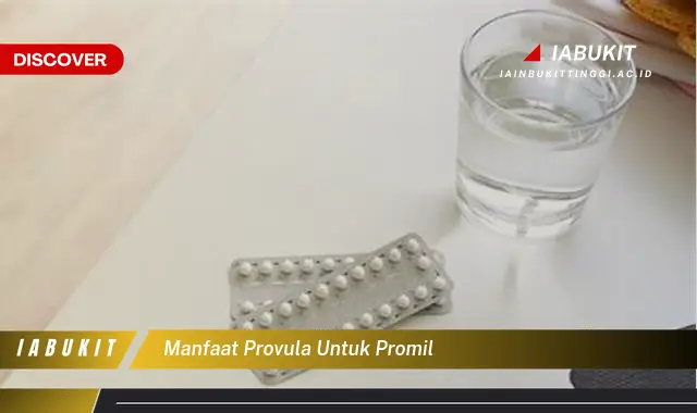 manfaat provula untuk promil