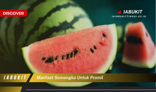 manfaat semangka untuk promil