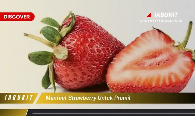 manfaat strawberry untuk promil